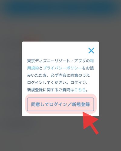 ディズニーアプリのログイン方法 同意画面